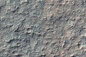 Terrain Sample