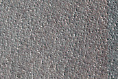 Terrain Sample