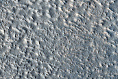 Terrain Sample