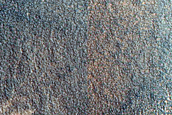 Gully Monitoring
