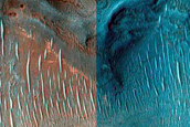 Bedrock in Syrtis Major Region