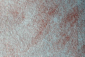 Terrain Sample