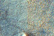 Ridge in Northern Mid-Latitudes