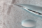 Terrain Sample