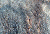 Gully Monitoring