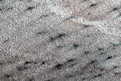 Ice-Dune Interaction Survey West of Olympia Planum