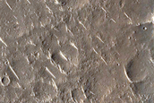 Terrain Sample