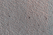 Terrain Sample