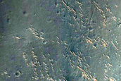Terrain Southeast of Miyamoto Crater