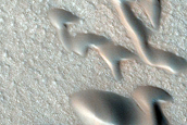 Terrain Sample