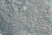 Crater Monitoring