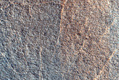 Terrain Sample