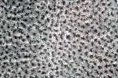 Terrain Sample