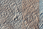 Candidate Recent Impact Site