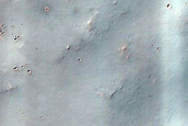 Monitoring Cluster of Light-Toned Spots