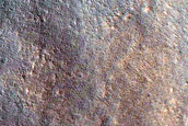 Gullies in Northern Mid-Latitude Crater
