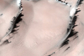 Terrain Sample