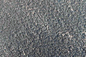 Candidate Recent Impact Site