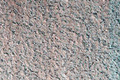 Terrain Sample
