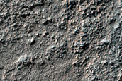 Terrain Sample