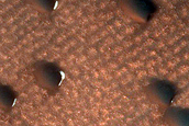 Dunes Dubbed Caladan