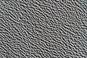 North Polar Terrain Sample