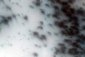 Dunes Dubbed Capistrano