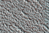 Terrain Sample