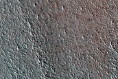 Terrain Sample
