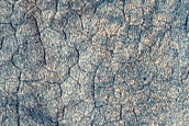 Utopia Planitia