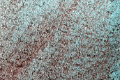 Terrain Sample