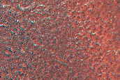 Terrain Sample