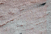 Chasma Boreale Linear Duneforms