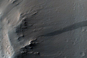 Lycus Sulci
