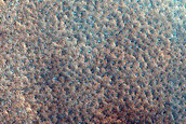 Northern Plains Terrain Sample