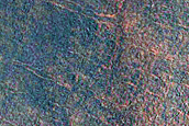High-Latitude Northern Frost Enhanced Polygons