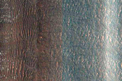 Western Abalos Scopuli Scarp and Dune Monitoring