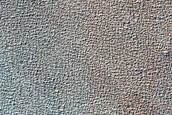Syria Planum Dust-Raising Event Monitoring Site