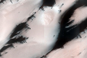 Terrain Sample