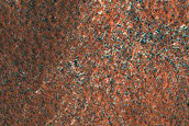 Terrain Sample