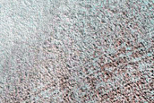 Terrain Sample