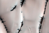 Terrain Sample