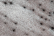 Terrain Sample