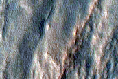 Gully Monitoring
