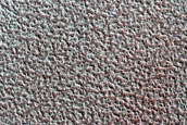 Terrain Sample