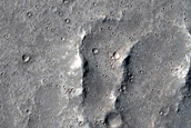 Elysium Planitia