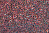 High-Latitude Northern Frost Enhanced Polygons
