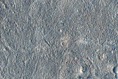 Utopia Planitia Terrain