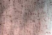Terrain Sample