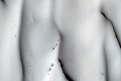 Terrain Sample